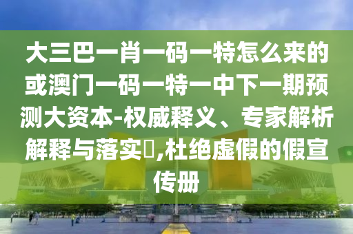 大三巴一肖一碼一特怎么來的或澳門一碼一特一中下一期預測大資本-權威釋義、專家解析解釋與落實?,杜絕虛假的假宣傳冊