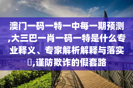 澳門一碼一特一中每一期預測,大三巴一肖一碼一特是什么專業(yè)釋義、專家解析解釋與落實?,謹防欺詐的假套路