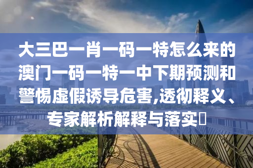 大三巴一肖一碼一特怎么來的澳門一碼一特一中下期預(yù)測和警惕虛假誘導(dǎo)危害,透徹釋義、專家解析解釋與落實?