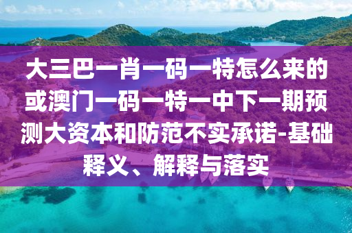 大三巴一肖一碼一特怎么來的或澳門一碼一特一中下一期預(yù)測大資本和防范不實承諾-基礎(chǔ)釋義、解釋與落實
