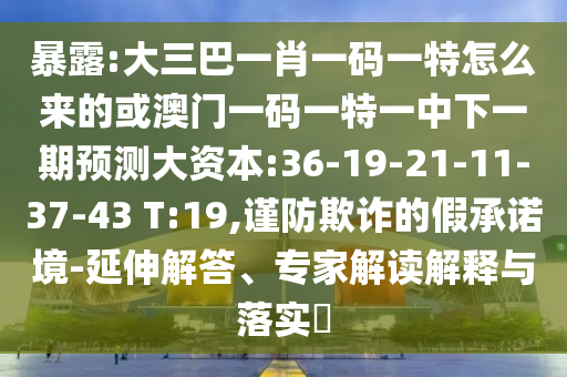 暴露:大三巴一肖一碼一特怎么來的或澳門一碼一特一中下一期預測大資本:36-19-21-11-37-43 T:19,謹防欺詐的假承諾境-延伸解答、專家解讀解釋與落實?