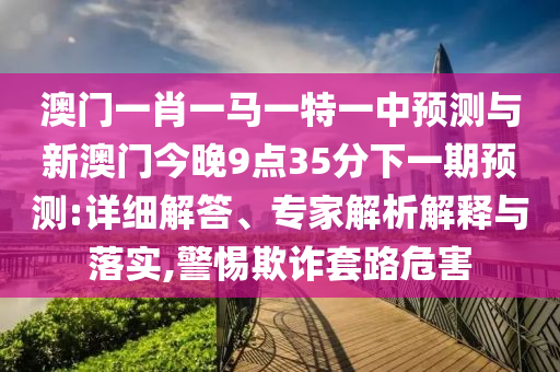 澳門一肖一馬一特一中預(yù)測與新澳門今晚9點(diǎn)35分下一期預(yù)測:詳細(xì)解答、專家解析解釋與落實(shí),警惕欺詐套路危害