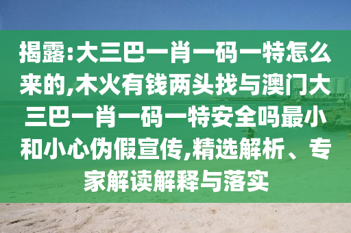 揭露:大三巴一肖一碼一特怎么來(lái)的,木火有錢(qián)兩頭找與澳門(mén)大三巴一肖一碼一特安全嗎最小和小心偽假宣傳,精選解析、專家解讀解釋與落實(shí)