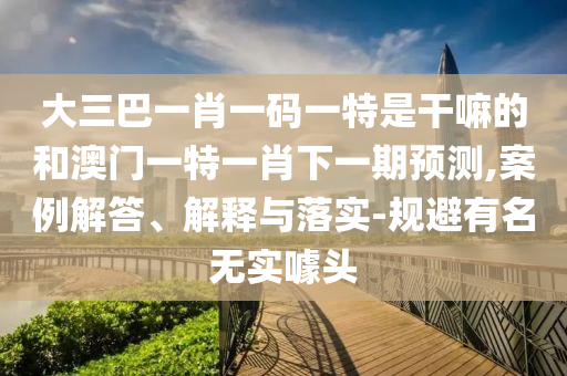 大三巴一肖一碼一特是干嘛的和澳門一特一肖下一期預(yù)測(cè),案例解答、解釋與落實(shí)-規(guī)避有名無(wú)實(shí)噱頭