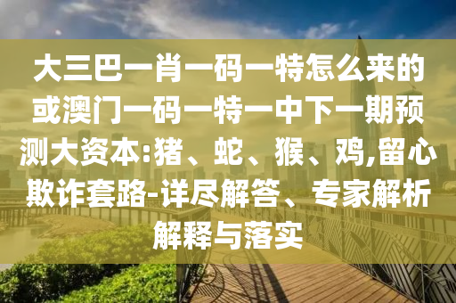 大三巴一肖一碼一特怎么來的或澳門一碼一特一中下一期預(yù)測大資本:豬、蛇、猴、雞,留心欺詐套路-詳盡解答、專家解析解釋與落實