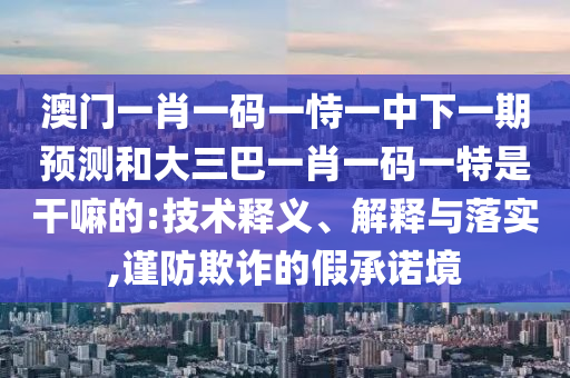 澳門一肖一碼一恃一中下一期預(yù)測和大三巴一肖一碼一特是干嘛的:技術(shù)釋義、解釋與落實(shí),謹(jǐn)防欺詐的假承諾境