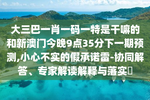 大三巴一肖一碼一特是干嘛的和新澳門今晚9點35分下一期預測,小心不實的假承諾雷-協(xié)同解答、專家解讀解釋與落實?